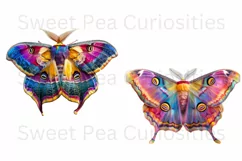 Moths, Junk Journal, PNG, Clipart, Ephemera, Butterflies Product Image 2