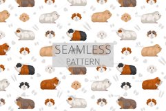 Merino Guinea Pig clipart Product Image 5