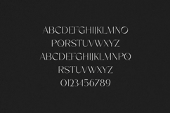 Metanoia Elegant Futuristic Serif Font Product Image 2