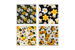 Daisy &amp; Daffodil Flower Digital Paper Product Image 2