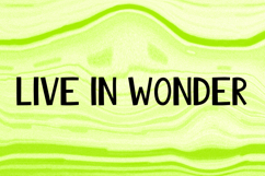 HOLLY Product Image 4