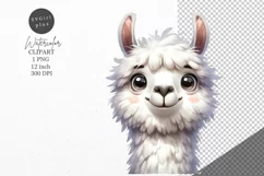 Llama clipart, Animals clipart, Funny clipart Product Image 1