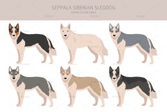 Seppala Siberian Sleddog clipart Product Image 2