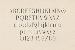 Modern Heritage Elegant Serif Display Font Product Image 2