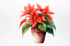 Christmas Houseplants Clipart PNG Product Image 2