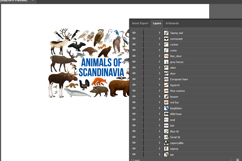 vector set - animals of scandinavia Product Image 2