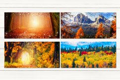 Oil paint Autumn Forest | Sublimation Mug design bundle, JPG Product Image 2