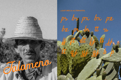 Gelapitto Script Font Product Image 2