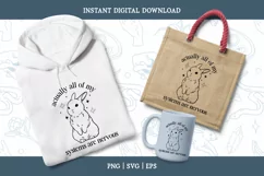 Funny Bunny Mental Health SVG/PNG file, funny sarcastic svg Product Image 2