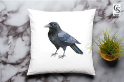 Black Crow Bird Illustration Clipart Sublimation PNG Product Image 2