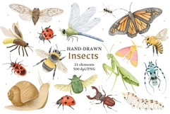 Watercolor Insects &amp; Bugs Clipart Product Image 1