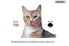 Pet Portrait Oil Painting v.6 Product Image 3