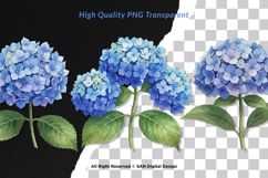 15 Bundle Watercolor Hydrangea Flower Blue Floral Garden Product Image 2
