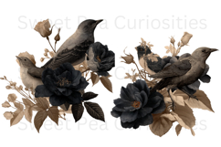 Birds, Black, Brown, Ephemera, PNG, Clipart Product Image 2