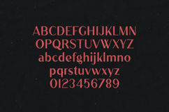 Ludic Modern Display Sans Serif Font Product Image 2