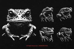 10 Bundle Dark Art Frog Skull Horror Gothic Scary Animal Product Image 3