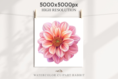Pink Spring Dahlia Flowers Daisies Pansies Lilies Snapdragon Product Image 3