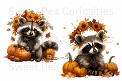 Autumn, Racoon, Fall, Ephemera, PNG, watercolor, Clipart Product Image 2