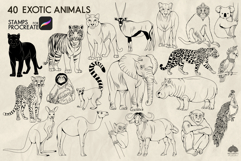 Exotic Animals Procreate Stamps Product Image 2