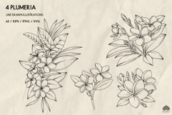 Tropical plumeria flowers line art set Svg Png Eps Product Image 2