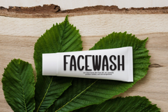 Camping Dream Product Image 2