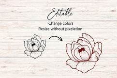 Hand Drawn Botanical Peony SVG Product Image 2