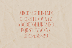 THORN TALE Elegant Serif Font Product Image 2