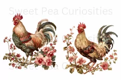 Chicken, Clipart, Ephemera, PNG, Junk journal, Shabby Chic Product Image 2