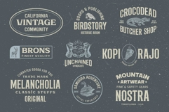 Survious Vintage Font Collection Product Image 2