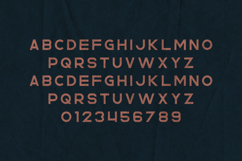 Rhino Rough Bold Distressed Display Font Product Image 2