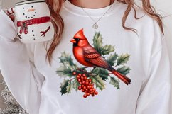 Christmas Cardinal Watercolor Clipart, Christmas Cardinal Product Image 2
