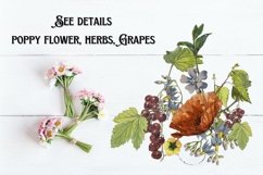 Vintage Watercolor Flowers Product Image 2