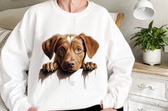 Breeds Of Peeking Dogs Collection Product Image 2