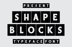 Shape Blocks Product Image 2