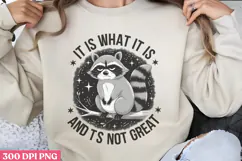 It is what it is. And PNG, Funny Raccoon Quotes Sublimation Product Image 1