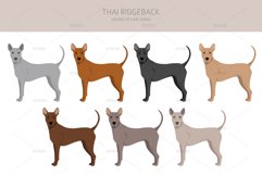Thai Ridgeback clipart Product Image 4