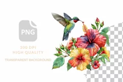 Hummingbird Clipart Watercolor Tropical Birds Nursery Art Product Image 2