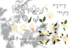 Magnolia SVG, white flowers bundle, fine art floral bouquet Product Image 2