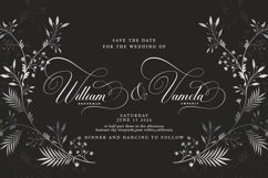 Brilliani Script Pro Product Image 2