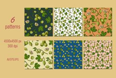 Gooseberry Product Image 3