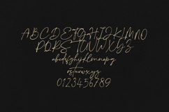 Eclipse Elegant Signature Script Font Product Image 2