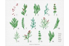 Winter svg bundle Branches svg Floral bundle Leaves set Product Image 3