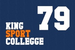 Support System Product Image 2