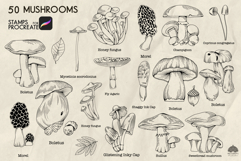 Mushrooms Procreate stamp brushes Product Image 2