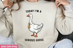 TODAY I'M A SERIOUS GOOSE PNG, Funny Goose Sublimation P Product Image 2