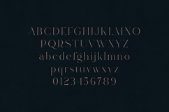Rowan Elegant Modern Serif Font Product Image 2