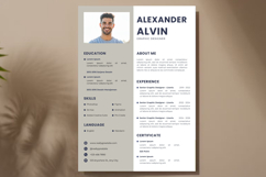 04 Professional Resume Template - Canva Product Image 2