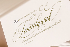 Lamborgini Product Image 4