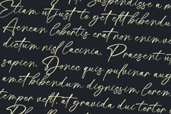 Mastine Elegant Handwritten Font Product Image 2