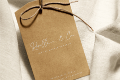 Celestine A Modern Script Font Product Image 4